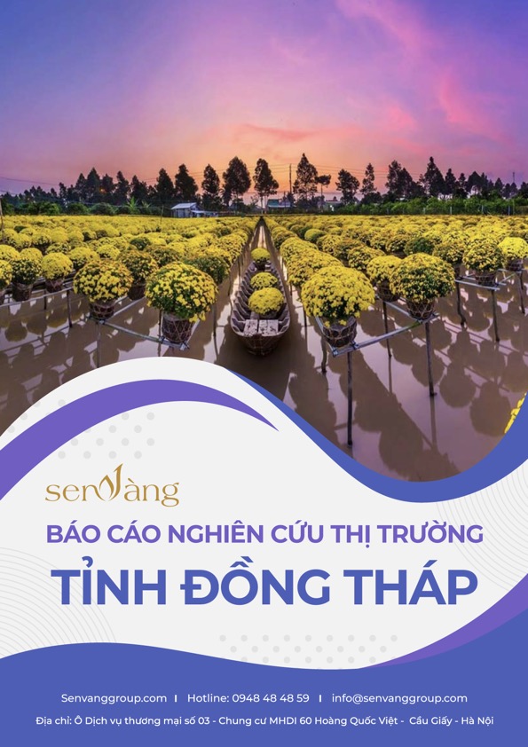 Báo cáo nghiên cứu thị trường tỉnh Đồng Tháp